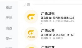 池州电台爆料事件视频,真相揭露，舆论漩涡中的媒体责任